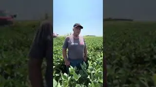 Pushing for 100 Bushel Soybeans | Full Season Management with Minnesota Growers and Billy Carter