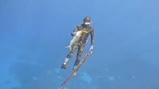 Into the Blue: Raw Spearfishing Action in Hawaii