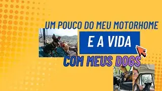 Um Pouco do meu Motorhome e Vida Com Meus Dogs