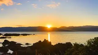 Best Place in Wellington