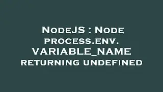 NodeJS : Node process.env.VARIABLE_NAME returning undefined