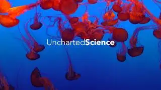 Uncharted Science - Teaser