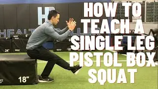 Single Leg Pistol Squat Breakdown - ACL Rehab