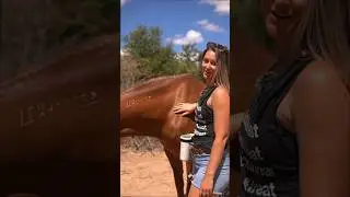 Очень скромная тренировка лошади 🤣#скромный #мустанг #конныйспорт #девушканаезднице