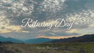 【Playlist】Relaxing Day – Chill Pop Mix for Evening Calm