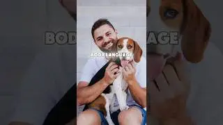 Dogs remember their past owners even after many years 😲 #shorts