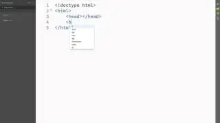 01 HTML Basic Tags