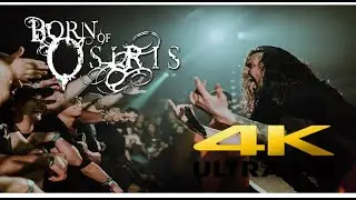 BORN OF OSIRIS 