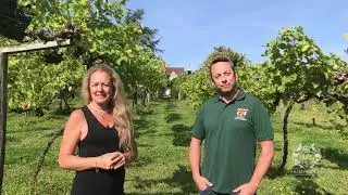Humphrey of Henley TV: Chiltern Valley Winery and Brewery