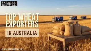 Top Wheat Exporters in Australia: A Global Leader in Grain Trade