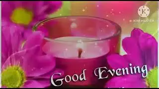 Good evening Status 🌹 what's app status 🌹