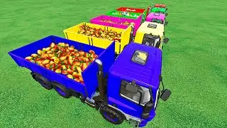 LOAD,TRANSPORT LOLLIPOPS & MANGO with TATRA TRUCKS   Farming Simulator 22