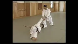 Yoshinkan Aikido -  Shomen Tsuki Kote Gaeshi Ni