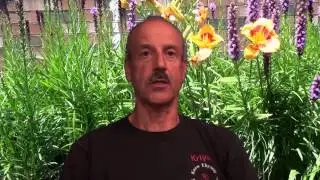 Transformation Through Yoga 2012