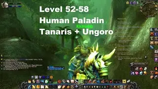 Level 52-58 #11 [Human Paladin] Tanaris/Ungoro - Leveling route in Warmane/Frostmourne Season 2