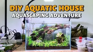 Building a Unique Aquatic House | DIY Aquascaping Adventure