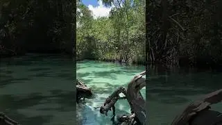 One of the most beautiful local spots in the Dominican Republic 📌 Ca&ntilde;o Fri&oacute; #travel #bucketlist