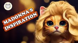 MADONNA'S INSPIRATION - INSPIRED CAT DAILY
