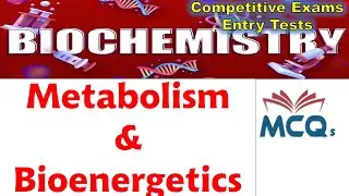 Biochemistry | Bioenergetics and Metabolism MCQs