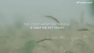 Our Conscious efforts towards a Greener future | Trident Group
