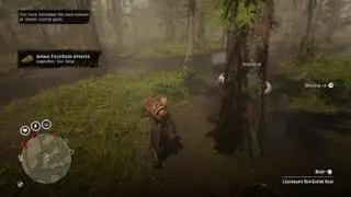 Doing lost jewelry collection mission. pop up legendary animal not suspected a gator