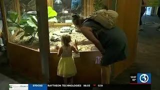 Connecticut Summer at the Museum 2023