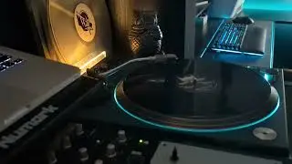 DJ Rags - 