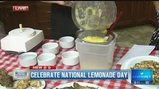It's National Lemonade Day!