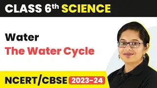 The Water Cycle - Water | Class 6 Science
