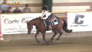 2 tappa APCR 2017 - SERASIO GIULIA su SMOKE STAR RICOCHET di SERASIO CARLANGELO con score 71