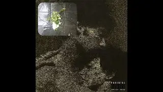 la misiva