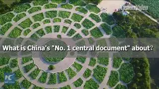 Why and how does China underscore rural vitalization
