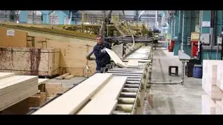 PT2 OF PLYWOOD MANUFACTURING @ sokoban woodvillage  WATCH OUT is so beautiful