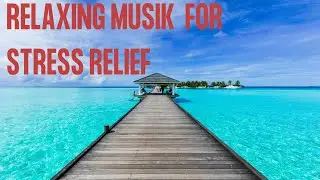 Relaxing Musik  for stress relief , Meditation - Ocean Waves & Wildlife