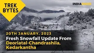 Fresh Snowfall Update From Deoriatal-Chandrashila and Kedarkantha trek | 20th Jan 2023 | Indiahikes