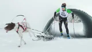 Svenska Draghundsportsf&ouml;rbundet - SM veckan 2024