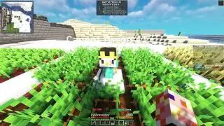 How Would You Like To Be Part of ZSMP Minecraft Lore?!