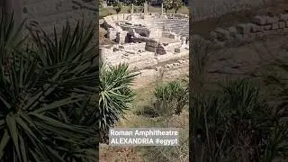Roman Amphitheatre #egypt  @theNEXTTrIP999​