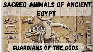Sacred Animals of ancient Egypt #mythology #ancienthistory #egypt #ancientegypt #animals