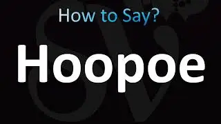 How to Pronounce Hoopoe
