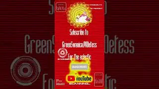 🎶J. GEILS BAND Ambiflash🎶Gloria Wimberley🎶#music #mom #niche #subscribe #this  #2024