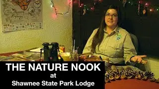 The Nature Nook