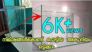How to repair cracked aquarium glass | Replacing cracked glass | in  Malayalam