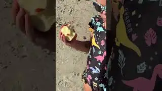 Спокойная прогулка по Майами-Бич с идеальной закуской на пляже! #OceanBreeze #Summertime