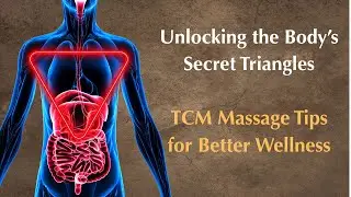 Unlocking the Body&rsquo;s Secret Triangles: TCM Massage Tips for Better Wellness