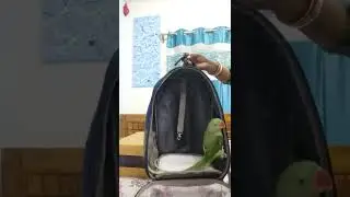 Bird Travel Bag