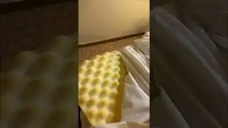 Who else can&rsquo;t stand that annoying cruise ship bed crack?