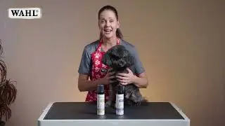 Easy Waterless Dog Shampoo