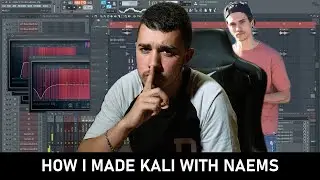 How I Made Kali with NAEMS