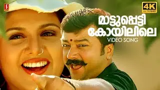 Maattupetti Koyilile | 4K | Mayilattam | M Jayachandran | Gireesh Puthancherry | Afsal |Chithra Iyer